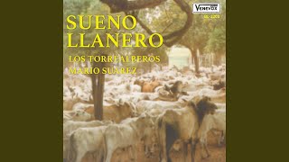 Sueno Llanero