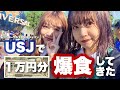 【一万円企画】初！ユニバで一万円使い切るまで帰れません！！結果は…。【usj】