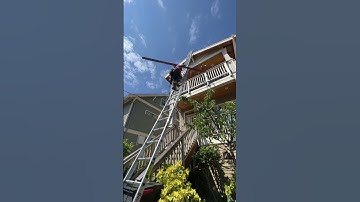 ARE YOU CLIMBING THIS LADDER?! 😨🤔