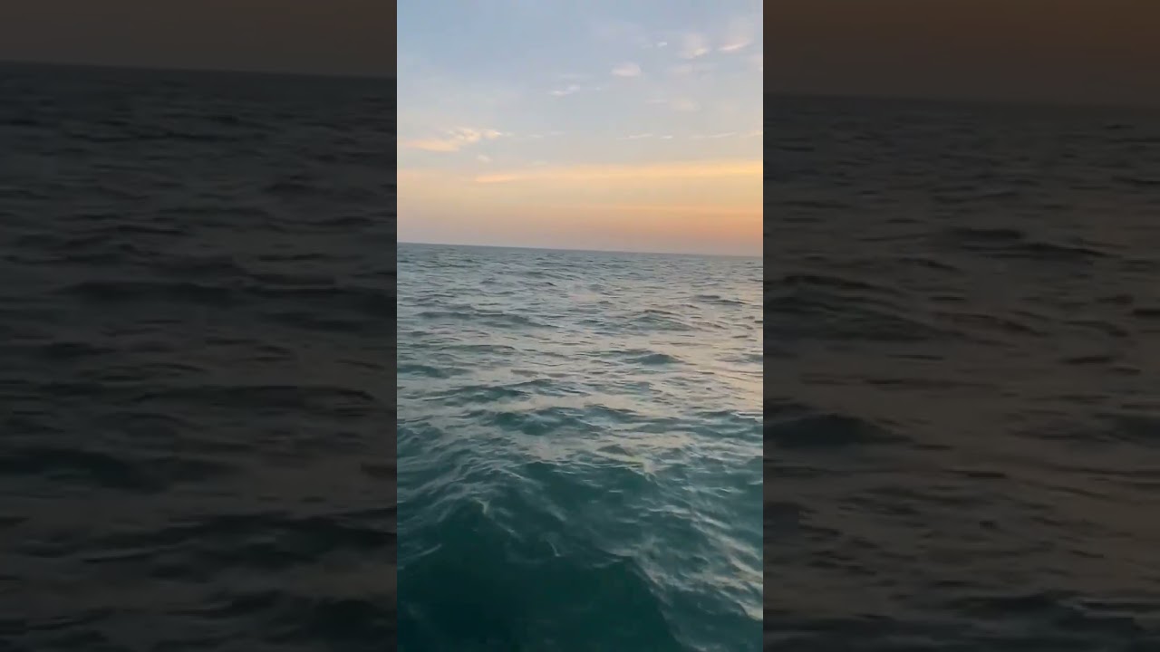 maine tera naam dil rakh diya❤️💫 