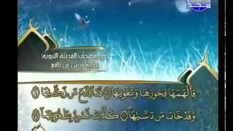 العيون الكوشي   سورة الشمس