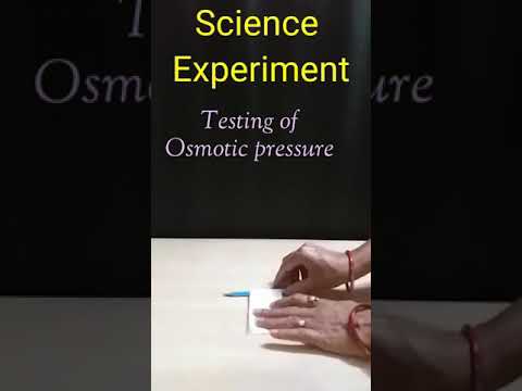 Science Experiments/ #shorts/Testing of osmotic pressure/Kansal Creation