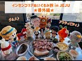 「インセンコリアぬいぐるみ旅 in JEJU」番外編