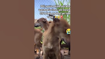 please consider donating to our PayPal link in bio for support on our Instagram page please #donate