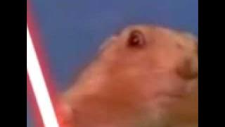 Star Wars Dramatic Chipmunk