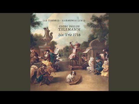 6 Trio Sonatas (1718) - Trio II in A Minor, TWV 42:a1: II. Vivace