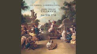 6 Trio Sonatas (1718) - Trio II in A Minor, TWV 42:a1: II. Vivace