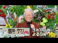 【3/11(月)放送】「鶴瓶ちゃんとサワコちゃん ~昭和の大先輩とおかしな2人~ #11」【ゲスト:菅原洋一】