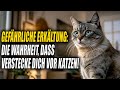 Alarmglocke: Wie eine unbemerkte Erkältung die Gesundheit der Katze ruiniert! Mp3 Song