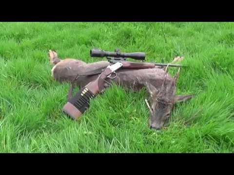 Bockjagd Mai/ Roebuck stalking with a Merkel K3 .243 Win