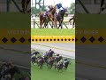 Ten Happy Rose is IN the Maker's Mark #BreedersCup Filly & Mare Turf! #BC24