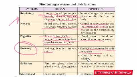 class 5 Chapter 4 part 1