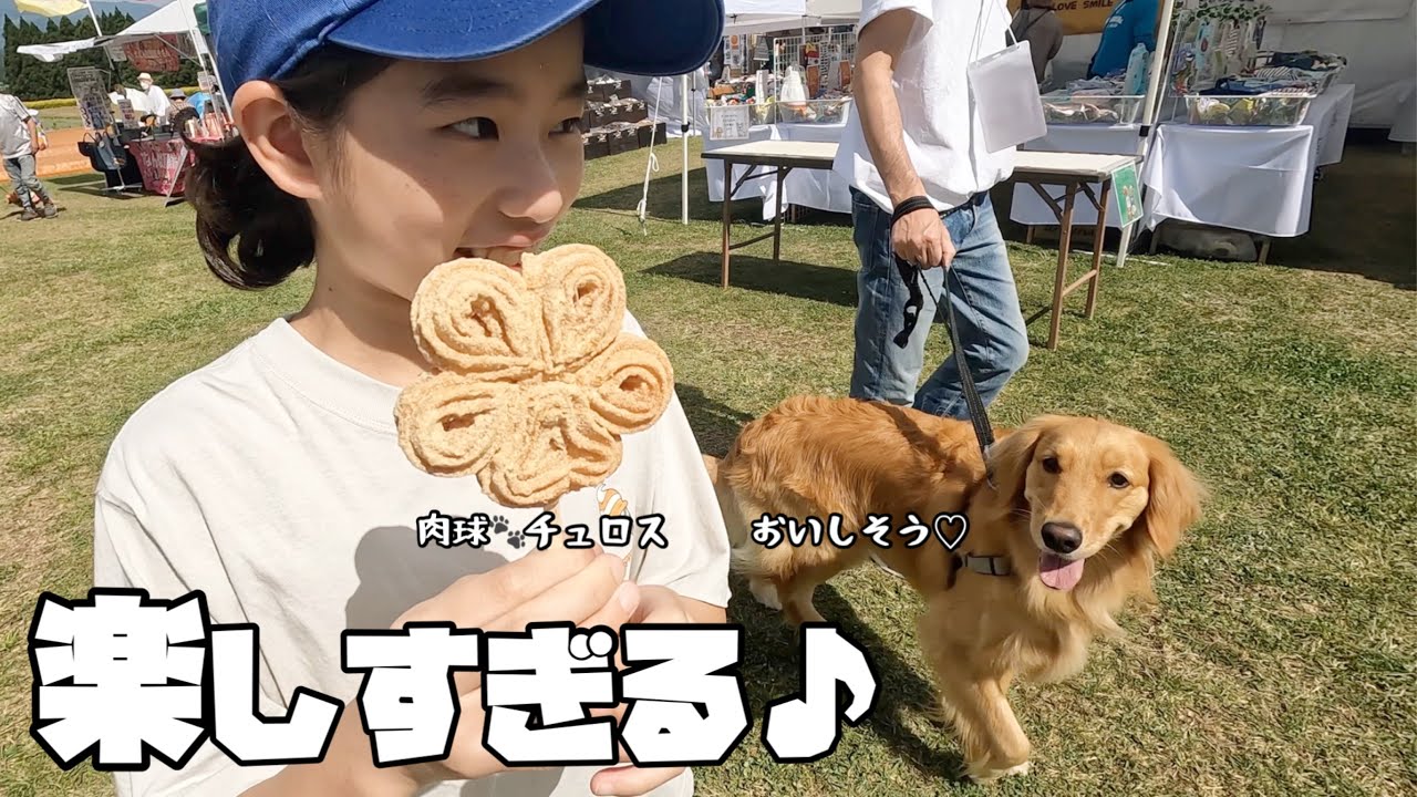 愛犬とモフモフだらけのドッグフェス＆キャンプを楽しんできた♪/わんだふる南九州2024 in生駒高原