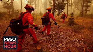 California prison inmates become a critical resource for fighting wildfires