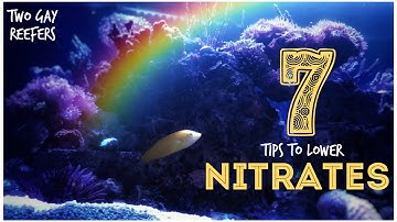 7 Tips to Lower Nitrates in a Reef Tank