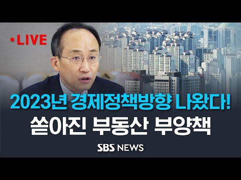 전기료 오르고, 부동산 규제 확 풀고..2023년 경제정책방향 / SBS