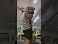 Day67#bicepworkout#100dayschallenge#bodytransformation#viralvideo#motivation#viralshorts