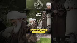 Beni Zikreden Kulumun Meclisindeyim