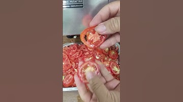 Máy thái rau củ đa năng VC65