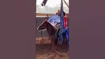 Dealing With Spooky And Buddy Sour Horses! Part 8! | The Horse Guru-Michael Gascon