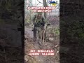 Наши войска наступают по всем направлениям В.Путин #армиярф #сво #война2026 #сводкисво #историявойны