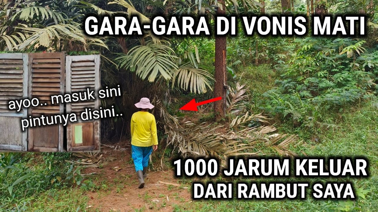 MUSTAHIL UNTUK PERCAYA!! TAPI ORANG INI TINGGAL DI RUMAH YANG TIDAK MASUK AKAL