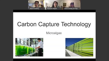 Carbon Capture with Algae