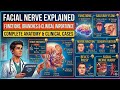 Facial Nerve Explained | Functions, Branches & Clinical Importance