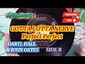 GOTTA LOTTA NERVE Perfect Perfect By DARYL HALL JOHN OATES Anak9273 mp3