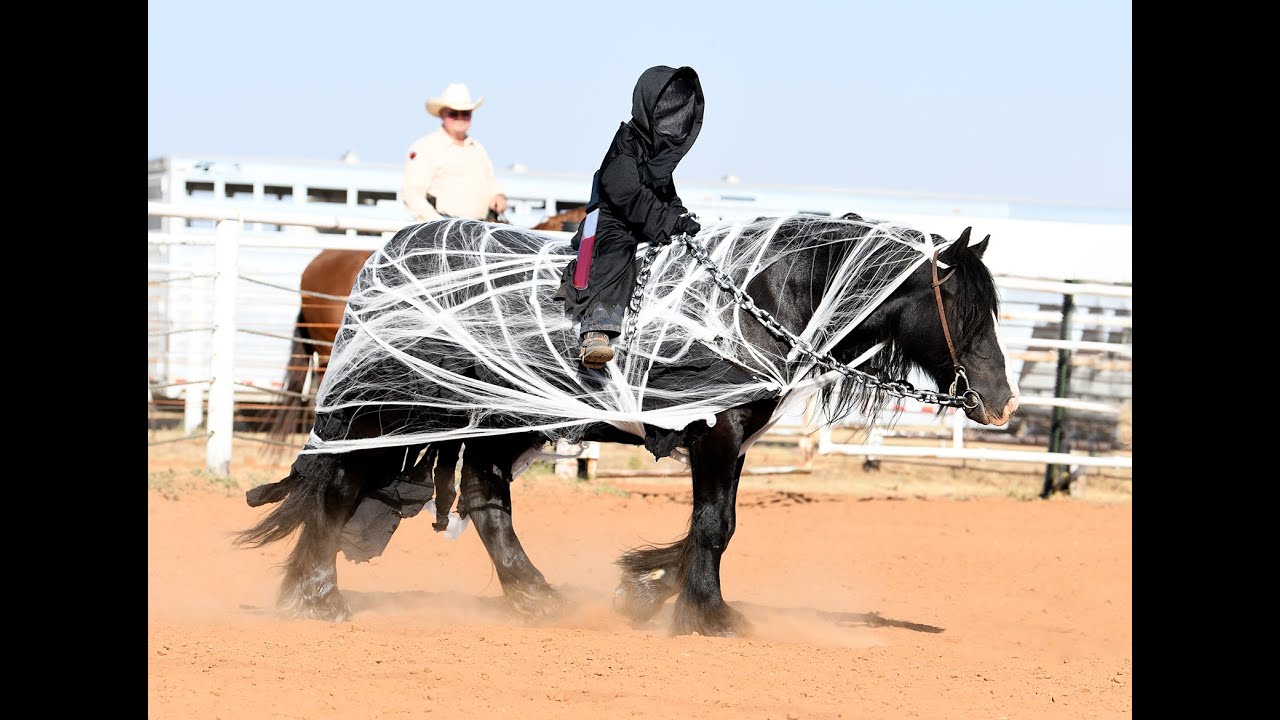 Lot #41 Dry Creek Seven offered by SKC Livestock in the Diamonds in the