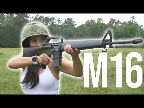 M16 - the Iconic Weapon of the Vietnam War