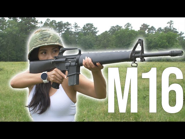 M16 - the Iconic Weapon of the Vietnam War - YouTube