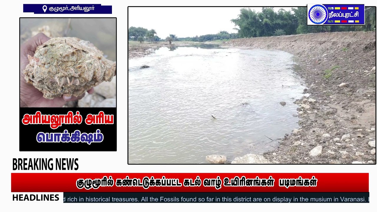 குழுமூரில் அரிய பொக்கிஷம் 