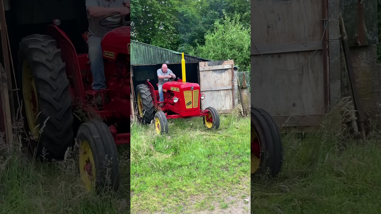 David brown 990 tractor