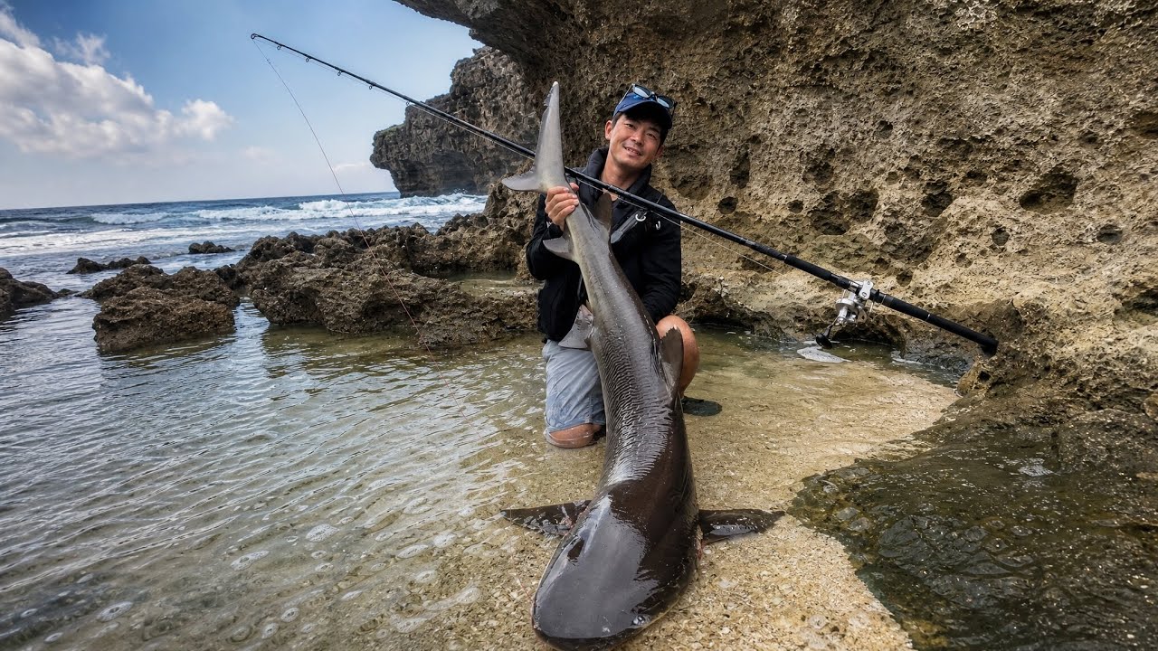 海磯などでフィッシングやられる方　必見 Shark Fishing] I caught a 