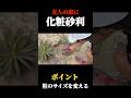【ドライガーデン】砂利は粒のサイズを変える！#庭づく #ガーデニング #アガベ