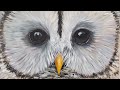 Easy White Owl Acrylic Painting LIVE Tutorial