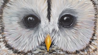 Easy White Owl Acrylic Painting LIVE Tutorial