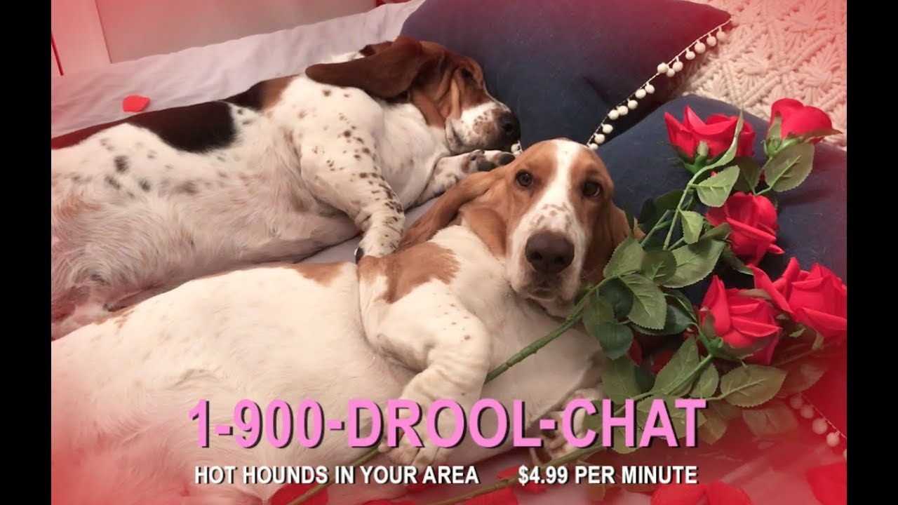 too cute maddie for a good time call... drool chat!