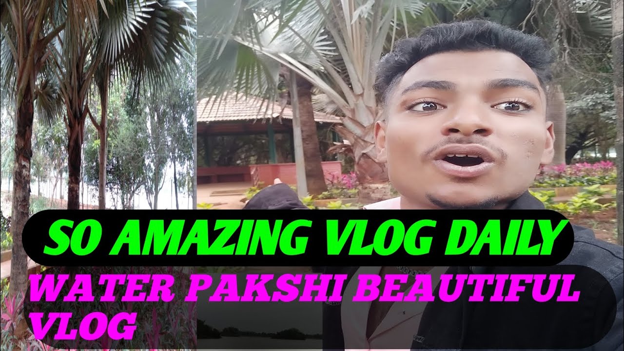  MY VLOG DAILY AMAZING PAKSHI WATER💦 @SD_sadik_91