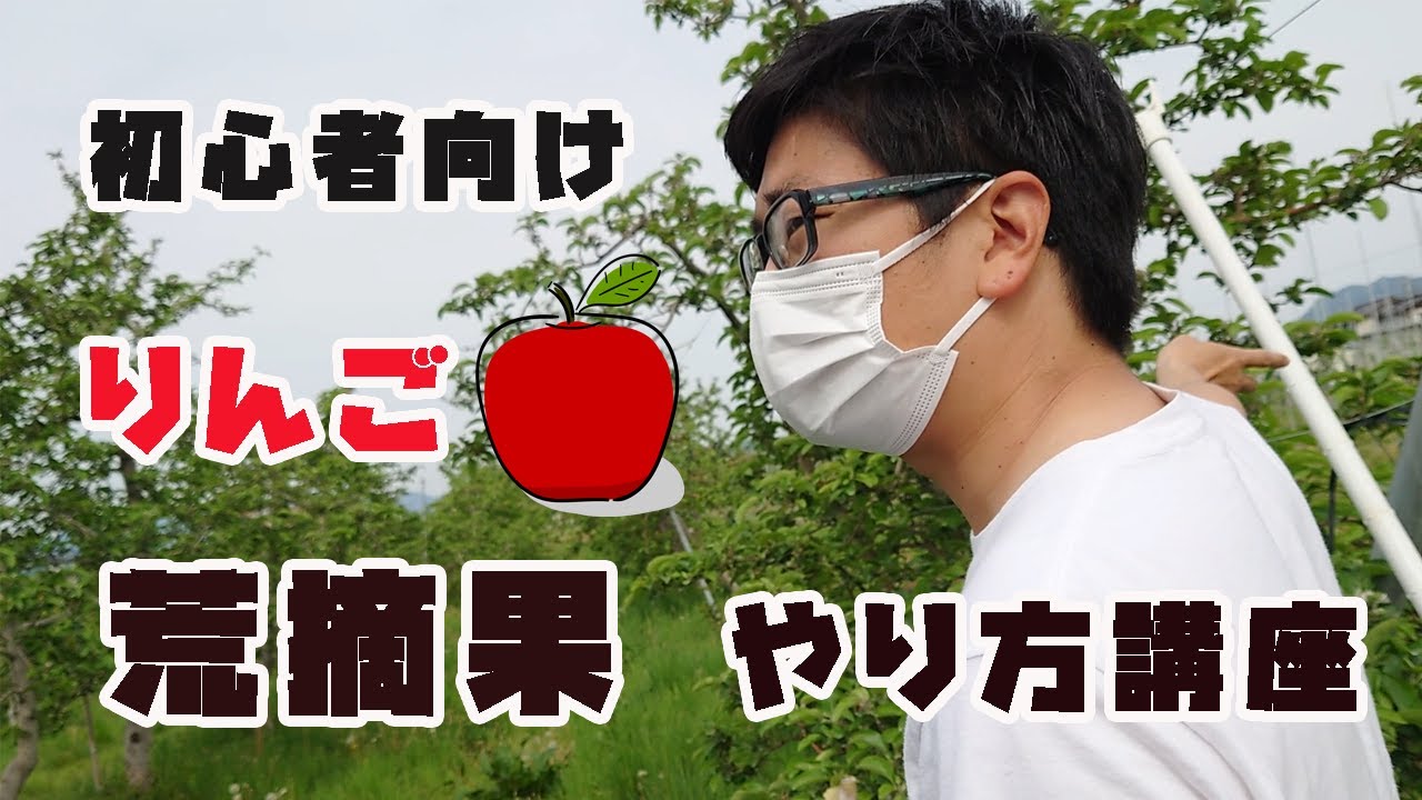 【荒摘果講習会】りんごの大きさや味を決める荒摘果について解説します。