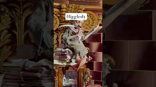 Higgledy Dolores Umbridge’s Elf