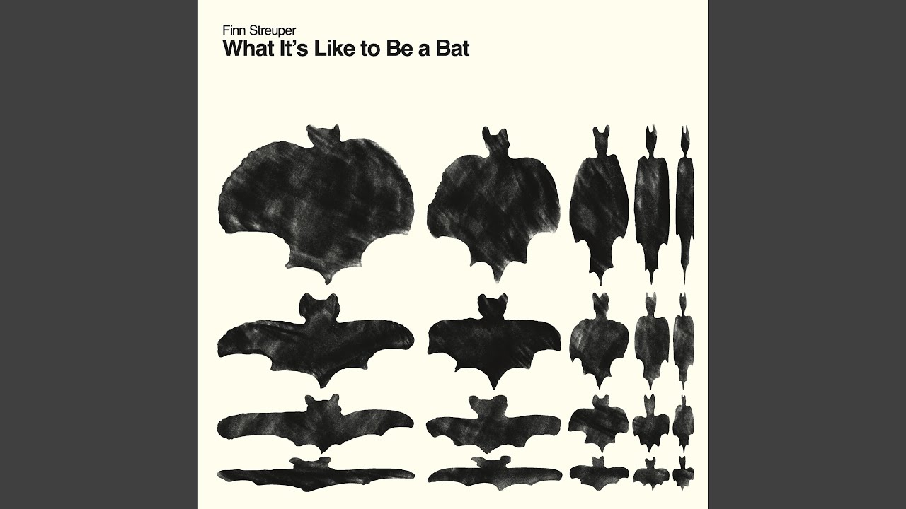 What It's Like to Be a Bat 9