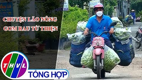 Chuyện tử tế: Chuyện lão nông gom rau làm từ thiện