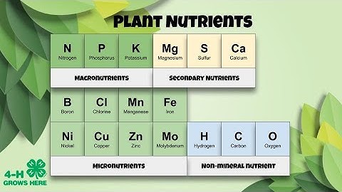 Plant Nutrients