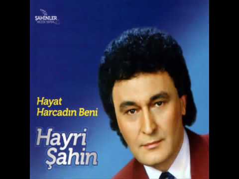 Hayri Sahin   Hayat Sen Ne Cabuk Harcadin Beni