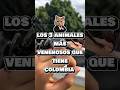 los 3 animales mas venenosos de Colombia