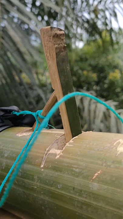 Perangkap Tikus/Tupai dari Bambu