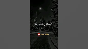 Statut WhatsAp 2025 Cheb Momo 3titha L Amour وقلي ماينفع الندام 