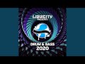 Liquicity Drum & Bass 2020 Album Mix